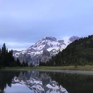 Meet your Posher, Laurie